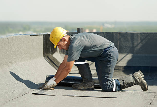 Best Cellulose Insulation  in Menasha, WI